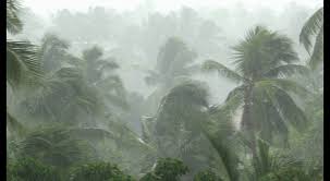 സംസ്ഥാനത്ത് നാളെ മുതല്‍ ശക്തമായ മഴ; മൂന്ന് ജില്ലകളില്‍ യെല്ലോ അലര്‍ട്ട്