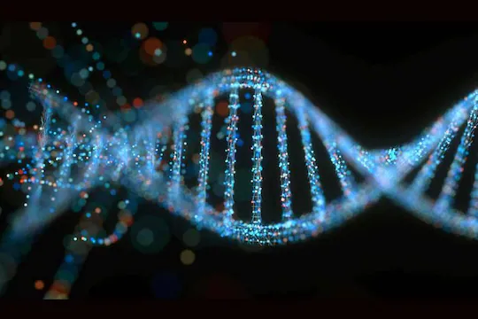 ഷിരൂരില്‍ കണ്ടെത്തിയ മൃതദേഹഭാഗങ്ങളുടെ ഡിഎൻഎ പരിശോധനാ ഫലം പുറത്ത്