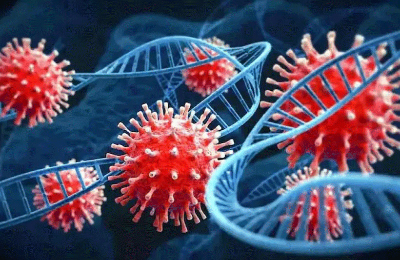 ‘എക്‌സ്‌ഇസി’; കൊവിഡിന്റെ പുതിയ വകഭേദം യൂറോപ്പില്‍ പടരുന്നു